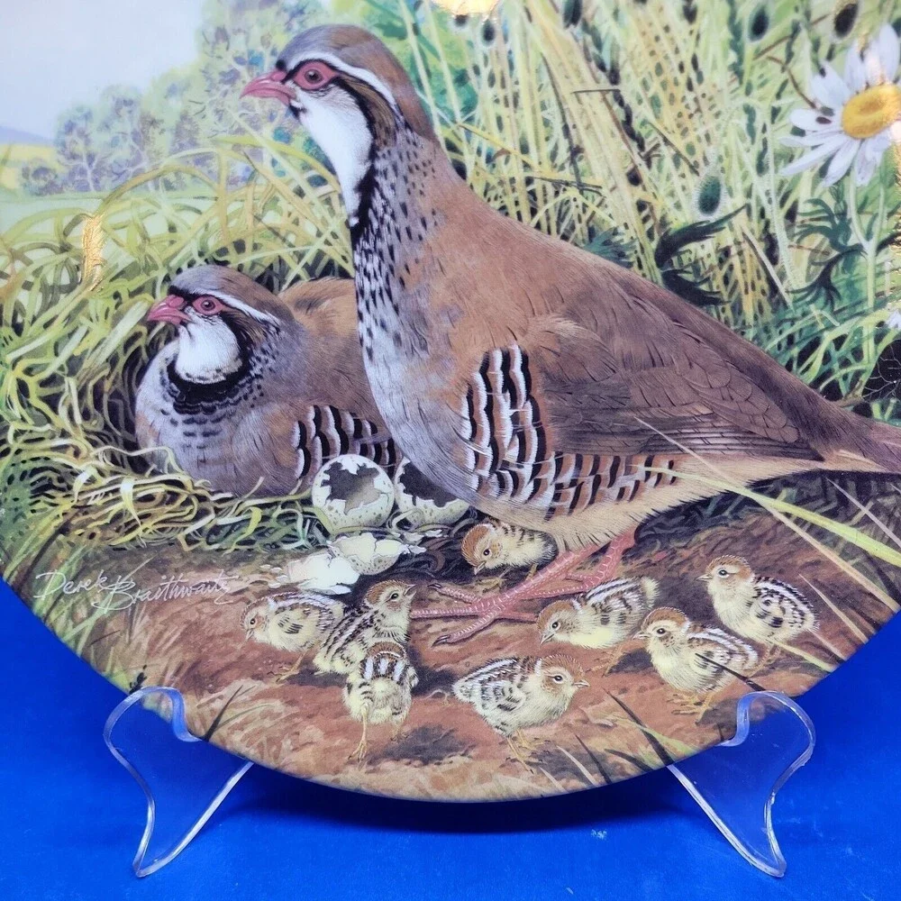 Royal Grafton Red Legged Partridge Collectible Plate 8.5